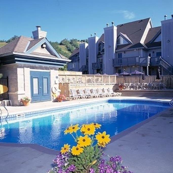 Blue Mountain Suites Blue Mountains Zewnętrze zdjęcie